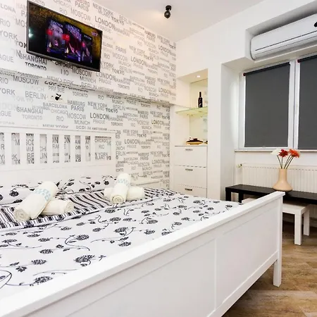 Apartment Downtown Studio *